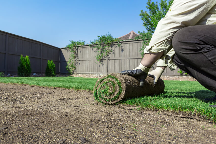 Proper Installation of New Sod