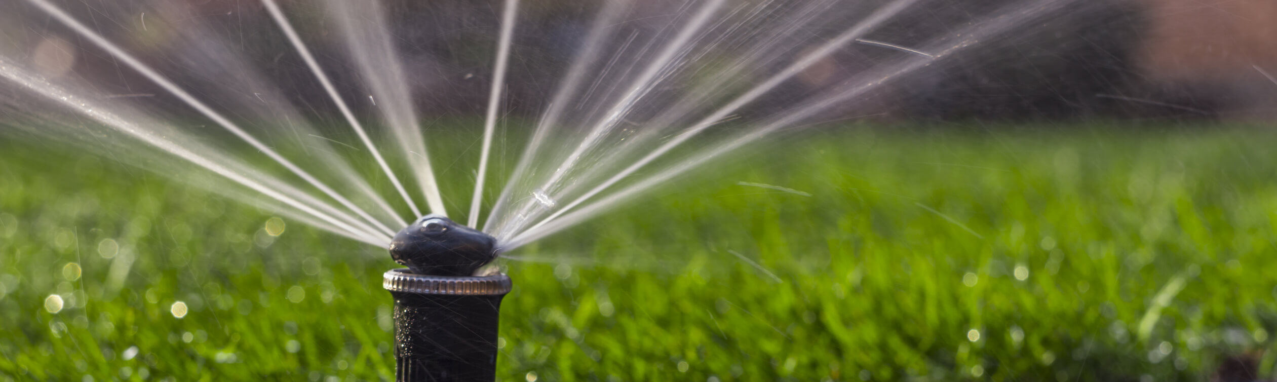 automatic sprinkler system watering the lawn on a background of green grass, close-up
