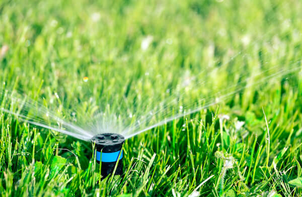 Lawn sprinkler watering green lawn