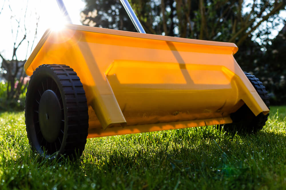 Recommendations on Care and the Best Time to Fertilize Lawn in Florida