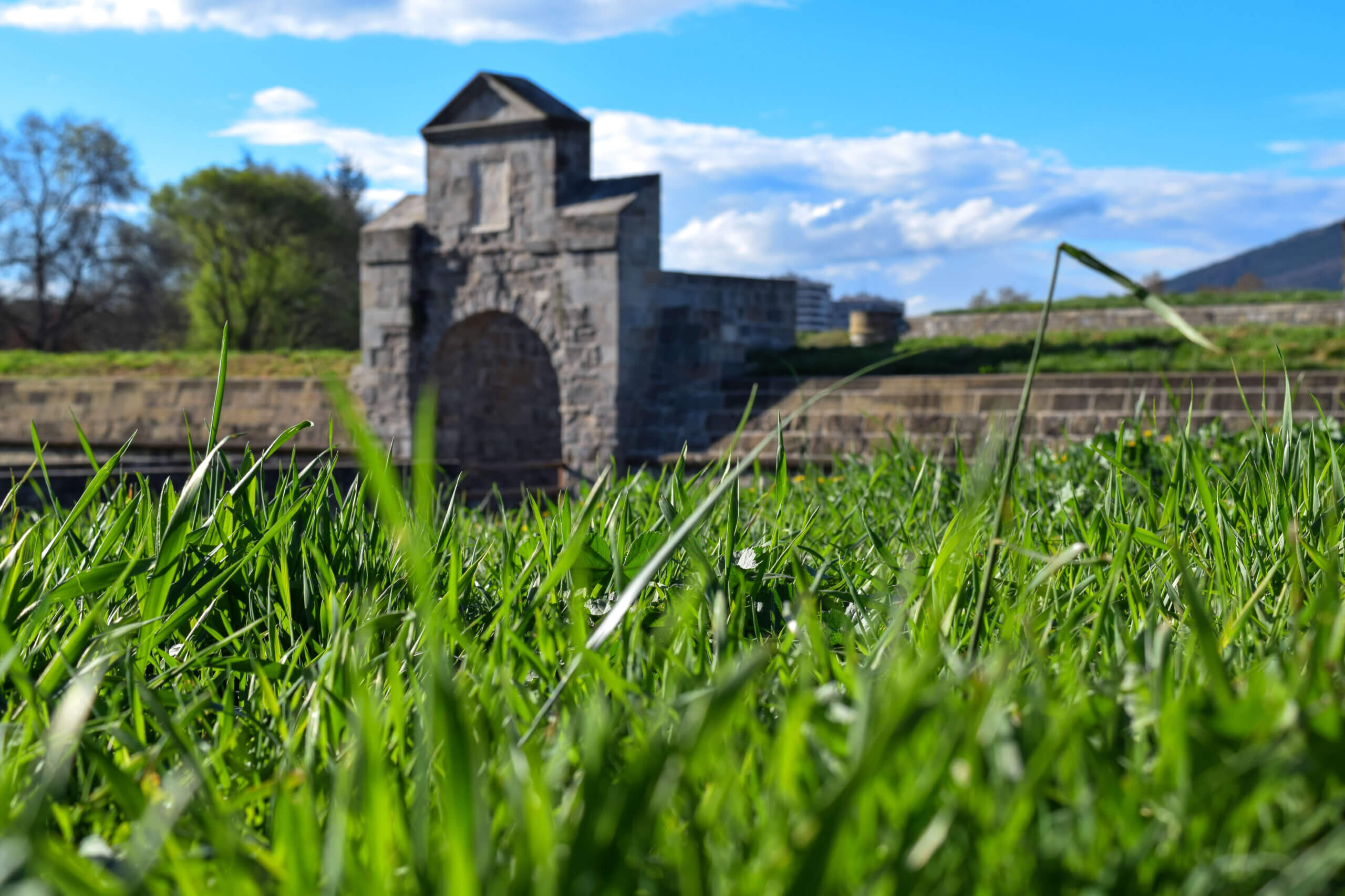 Sod variation over time has changed due to the needs of humans.