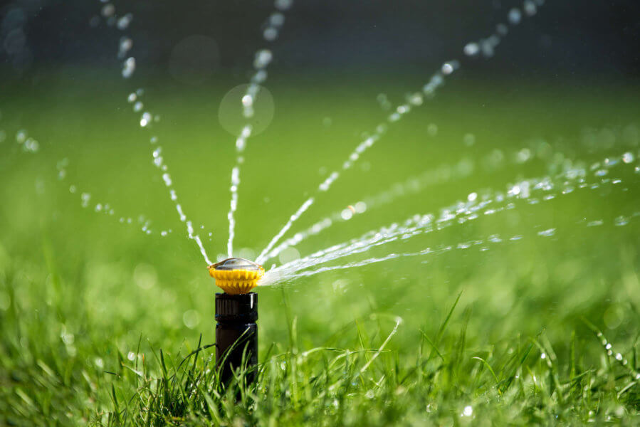 Tips for a Lush Green Lawn