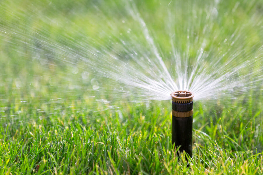 watering