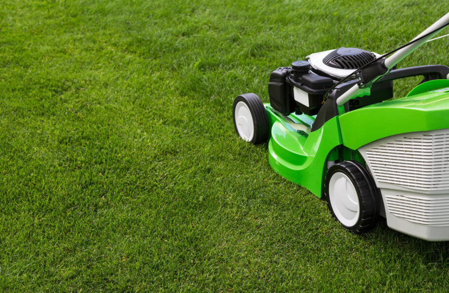 lawn diseases Outdoor shot of green lawnmower