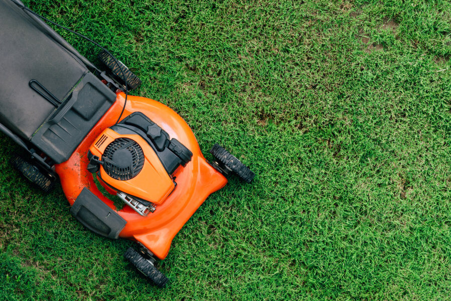 Lawn