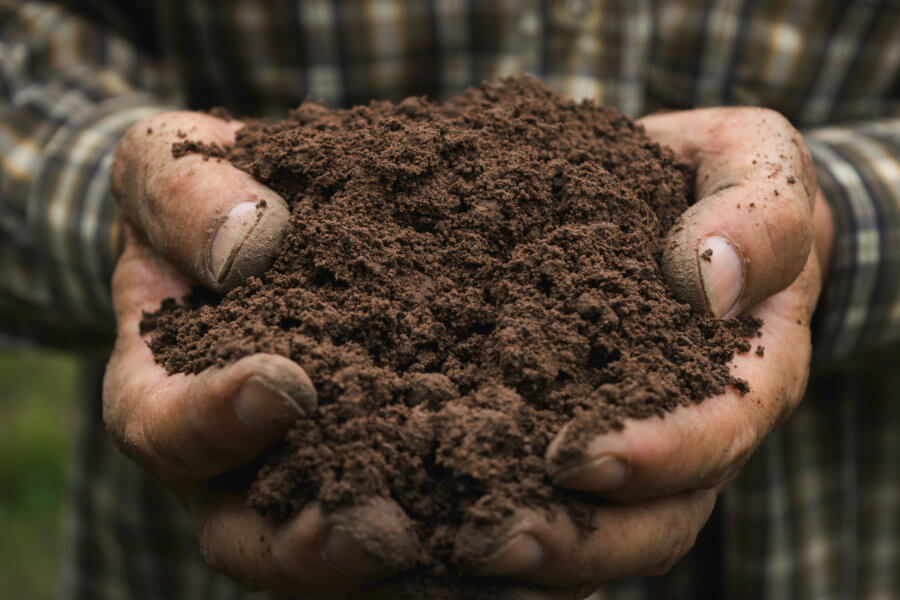 Soil Sample