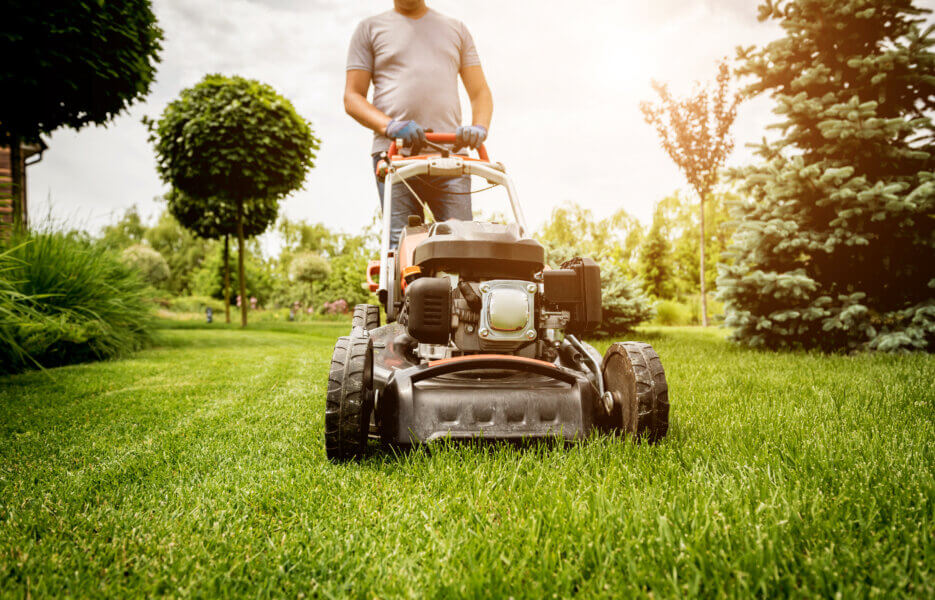 Lawn