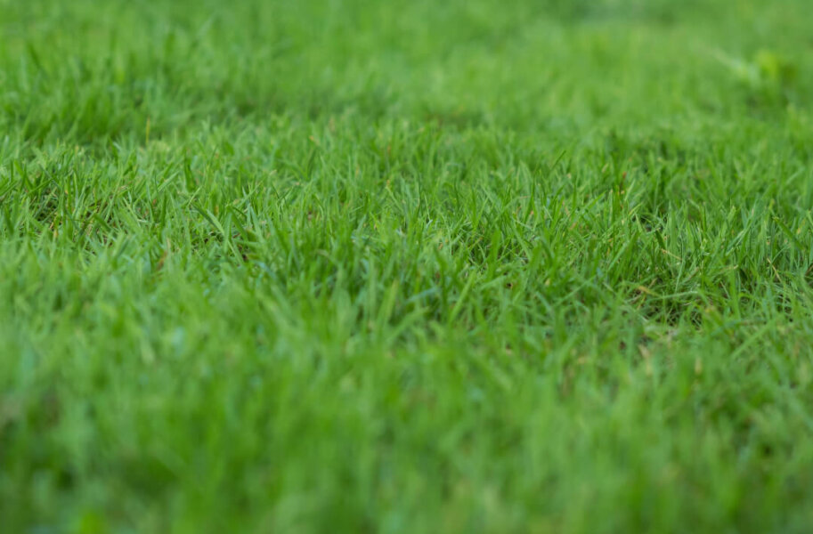 Mowing
